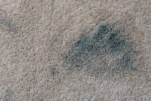 Read more about the article How to Get Paint Out of Carpet – Acrylic, Latex, Oil