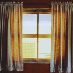 Bed Bugs on Window Sill – How to Get Rid of Them