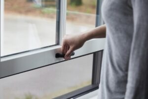 Read more about the article How to Take a Screen Out of a Window