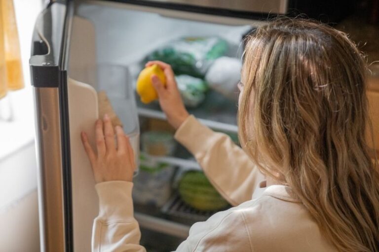 Read more about the article Why the Fridge Is Not Cold but the Freezer Is?