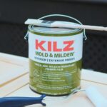 Does Kilz Kill Mold? 