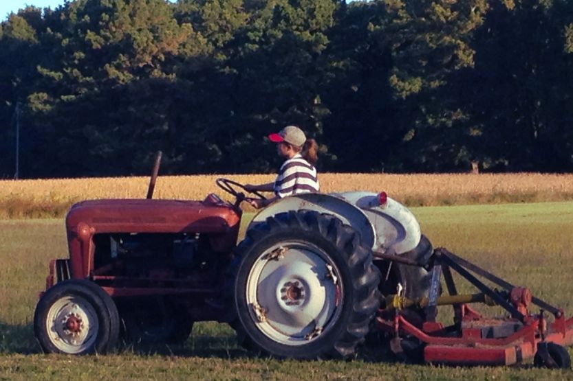 ford 600 tractor value